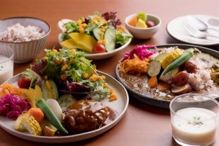 デミグラスハンバーグ＆あいがけカレー 